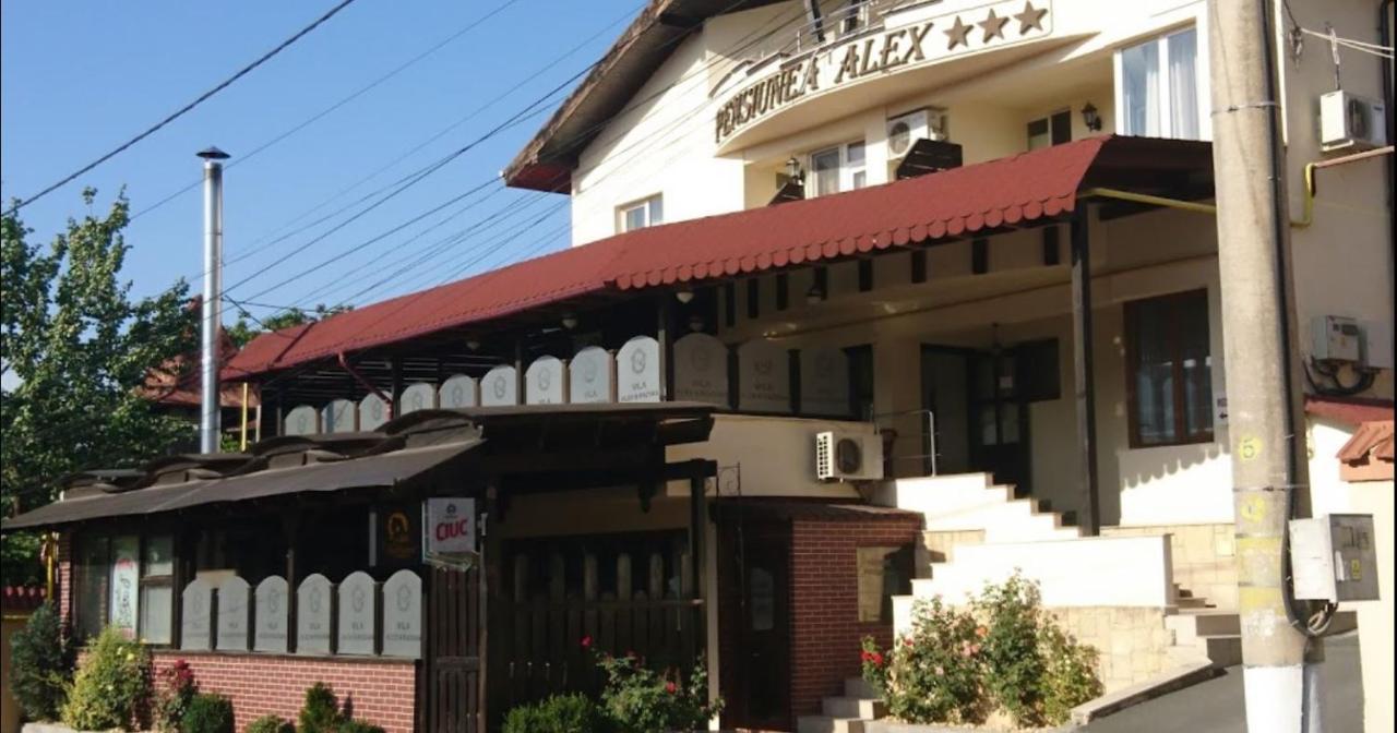 Vila Alex&Razvan 图尔恰 外观 照片